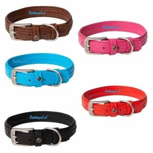 Rogz for Dogz – Halsband – Leder
