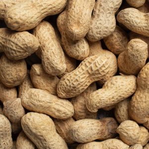 Premium Doppinda’s – Pinda’s in dop – ongepeld voor vogels