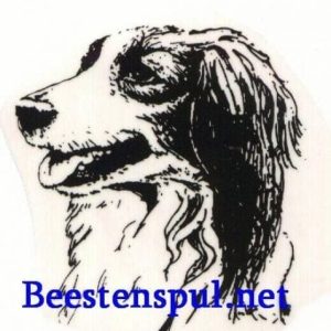 Sticker – Kooikerhondje – 2
