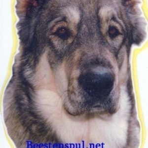Sticker – Aziatische Owcharka – 1