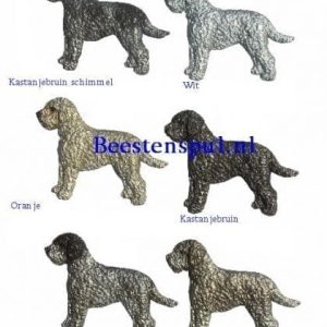 Broche – Lagotto Romagnolo
