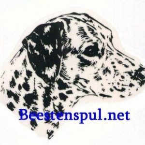 Sticker – Dalmatier – 7