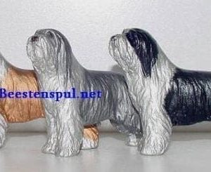 Beeld – Bearded Collie