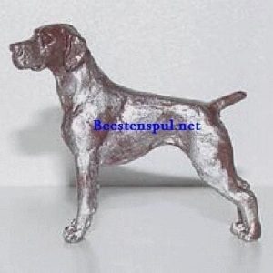 Minimodel – Duitse Staande Korthaar