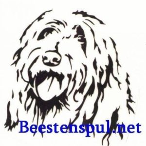 Sticker – Bearded Collie – 10