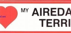 Sticker – I Love – Airedale Terrier
