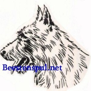 Sticker – Picardische Herder – 2