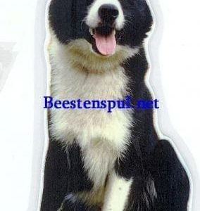 Sticker – Karelische Berenhond – 2