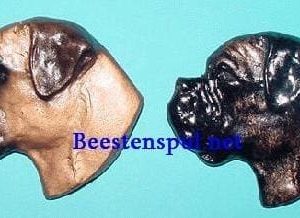 Broche – Bullmastiff – Kop
