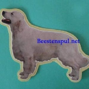 Sticker – Golden Retriever – 4