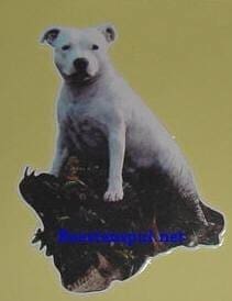 Sticker – Stafford – 31