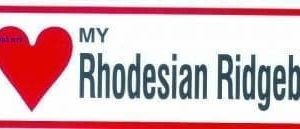 Sticker – I Love – Rhodesian Ridgeback