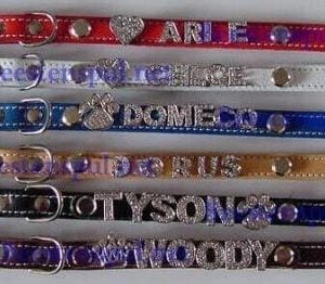 Halsbanden voor Strass letters 50-55 cm