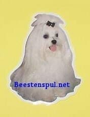Sticker – Maltezer – 4