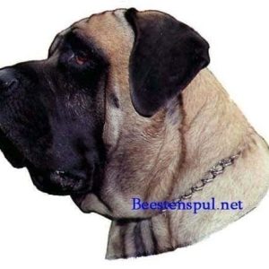 Sticker – Mastiff – 1
