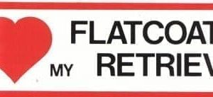 Sticker – I Love – Flatcoated Retriever