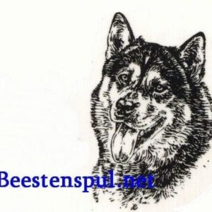 Sticker – Siberian Husky – 7