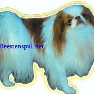 Sticker – Japanse Spaniel – 3