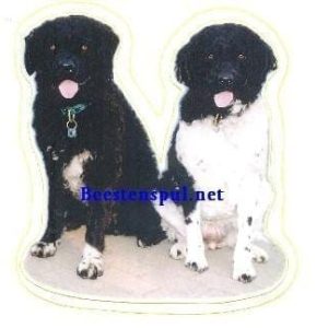 Sticker – Wetterhound – 2