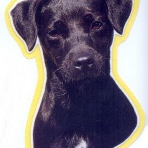 Sticker – Jack Russell Terrier – 10