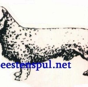 Sticker – Teckel Ruwhaar – 18