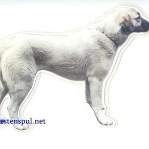Sticker – Anatolische Herder – 1