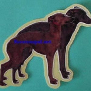 Sticker – Italiaans Windhondje – 2