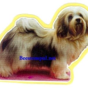 Sticker – Havanezer – 3
