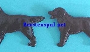 Broche – Flatcoated Retriever