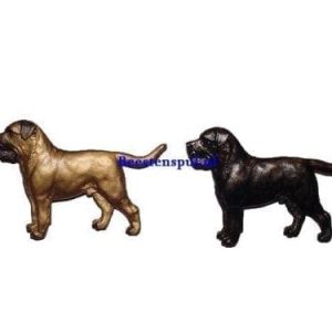 Broche – Boerboel