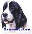 Sticker – Landseer – 6