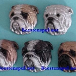 Broche – Engelse Bulldog – Kop Groot