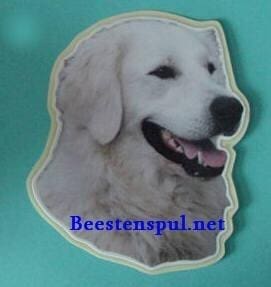 Sticker – Kuvasz – 2