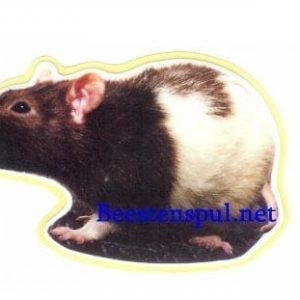 Sticker – Ratten – 1