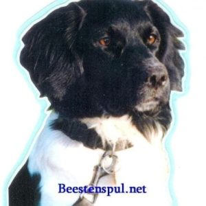 Sticker – Friese Stabij – 02