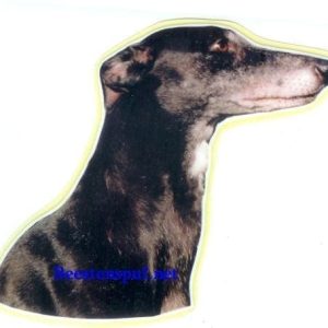 Sticker – Greyhound – 12