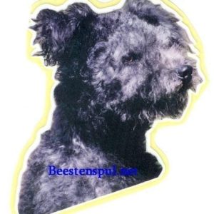 Sticker – Pumi – 1