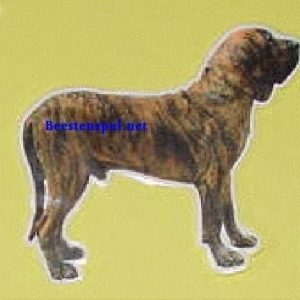 Sticker – Fila Brasileiro – 4