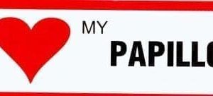 Sticker – I Love – Papillon