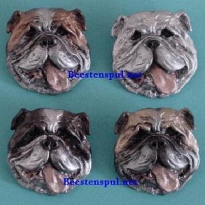 Broche – Engelse Bulldog – Kop