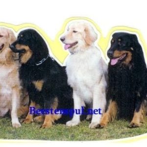 Sticker – Hovawart – 7