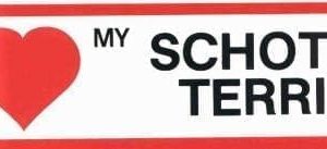 Sticker – I Love – Schotse Terrier