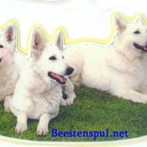 Sticker – Zwitserse Witte Herdershond – 9