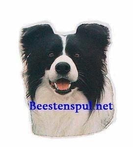 Sticker – Border Collie – 1