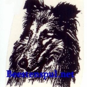 Sticker – Sheltie – 11