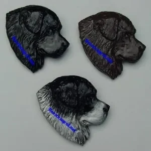 Broche – Newfoundlander – Kop Groot