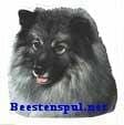 Sticker – Keeshond – 10