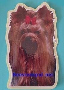 Sticker – Yorkshire Terrier – 4