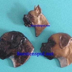 Broche – Boxer – Kop groot