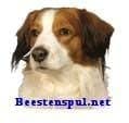 Sticker – Kooikerhondje – 1